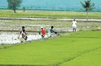 Farm Loan Waiver